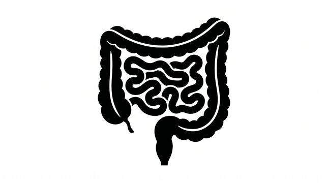 Black and white silhouette illustration of the human large and small intestines