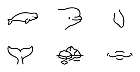 Minimalist Whale Icons, Beluga Whale Vector Art, Ocean Mammal Line Drawings, Arctic Wildlife Graphics © Sojib