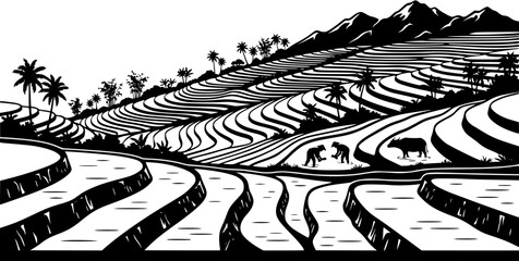 Fototapeta premium Black and white illustration of terraced rice fields with farmers planting rice and a water buffalo in a tropical landscape