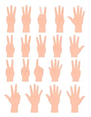 Fototapeta premium A collection of 20 hands with fingers in various positions