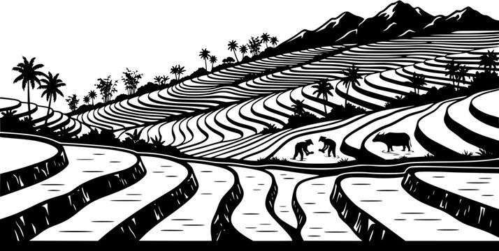 Black and white illustration of terraced rice fields with farmers planting rice and a water buffalo in a tropical landscape