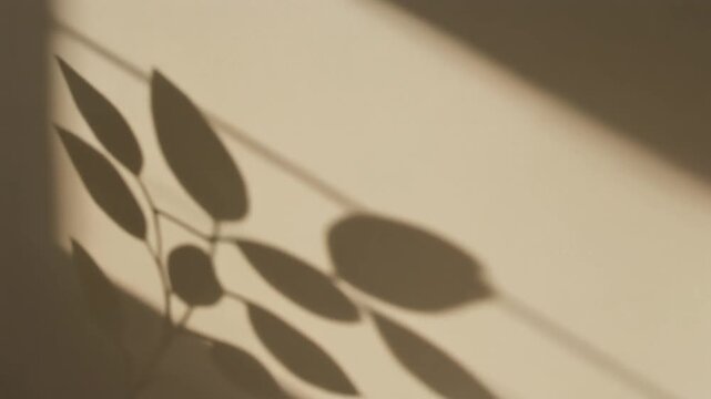 Shadow of a delicate plant on a neutral background, highlighting natural light and shadow play, creating a minimalist aesthetic and tranquil atmosphere