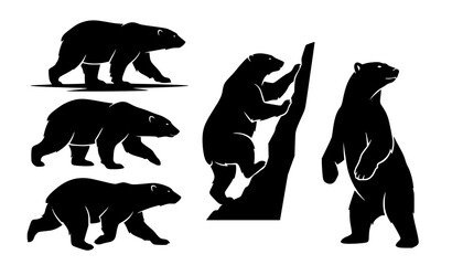 Bear Silhouette Collection with Different Standing and Walking Poses Wildlife Vector Set © Crafts Home