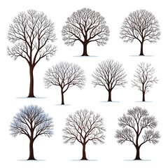 Obraz premium A collection of seven leafless trees in various frosty conditions