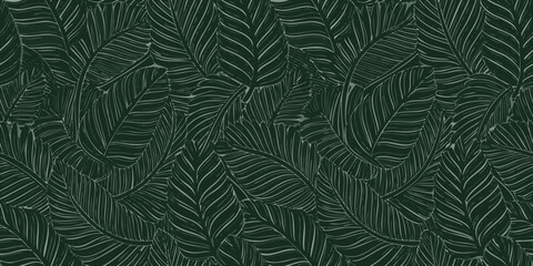 seamless pattern of stylized tropical fern leaves in dark green monochromatic design © Tarun