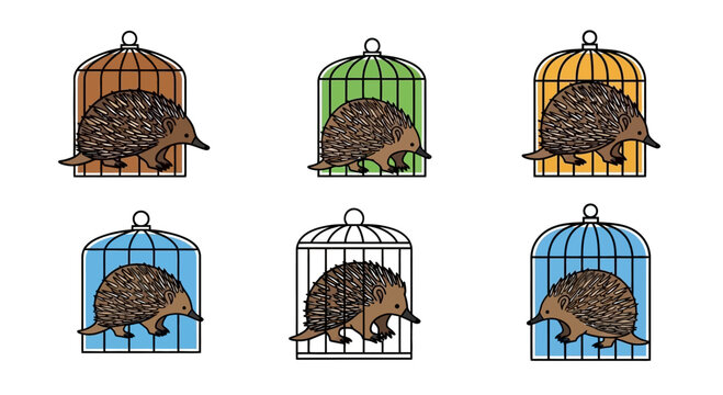Set of Cute Cartoon Echidnas Inside Colorful Birdcages