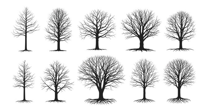 Set of ten black silhouettes of deciduous trees without leaves illustrating various branch structures and root systems.