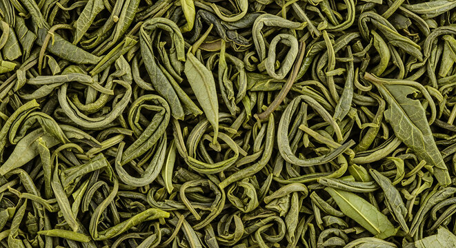 Close-up of dried green tea leaves, twisted and curled, natural texture background