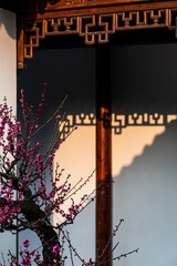 Obraz premium Plum Blossoms at Guozhuang Garden in Hangzhou