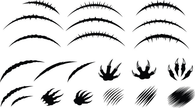Set of abstract claw scratches, curved slash marks, and animal footprint silhouettes with grunge texture isolated on white background vector collection