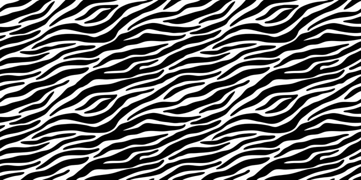 irregular black and white zebra stripe pattern abstract wavy lines background