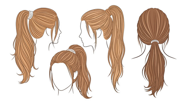 Collection of Hairstyles: Ponytails from Different Angles