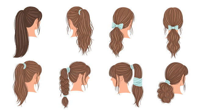 Collection of diverse brown ponytail hairstyles for women, viewed from behind.