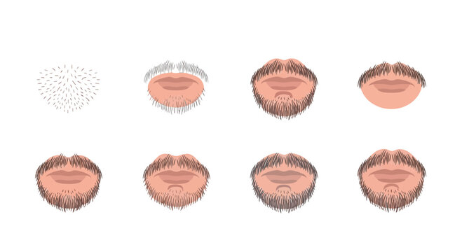 Set of Various Types of Male Facial Hair Styles and Mustaches