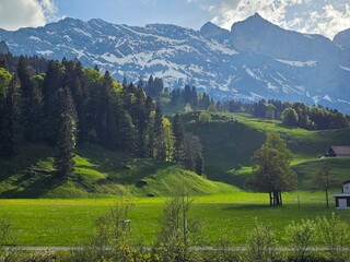 Obraz premium alpine meadow in the alps of engelberg, swiss