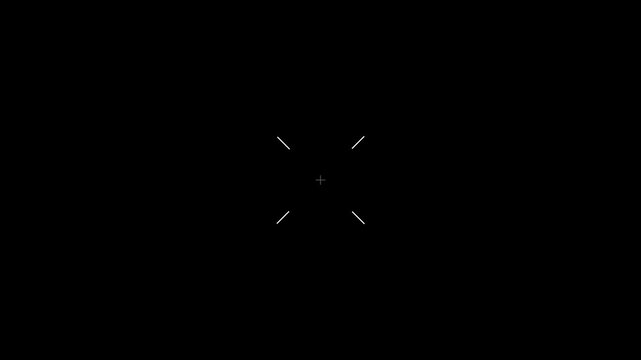 Digital camera viewfinder overlay with reticle and focus crosshair
