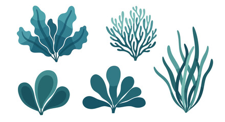 Fototapeta premium Set of Abstract Underwater Seaweed and Coral Illustrations in Teal and Blue Tones