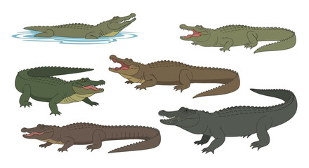 Fototapeta premium Set of Various Crocodiles and Alligators in Different Poses and Colors