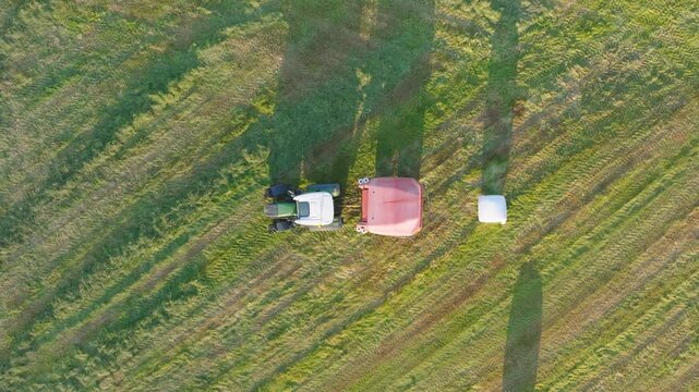 Top-down aerial view of a tractor using a baler to make round hay bales. Drone shot of agricultural machinery in a field during harvest production.