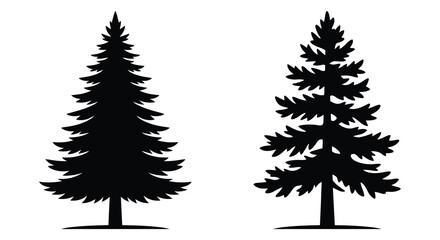 Two coniferous tree silhouettes against a white background showcasing a simple black and white design silhouette © Gahima