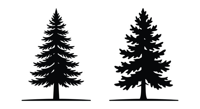 Two evergreen tree silhouettes against a white background a simple botanical illustration silhouette trees pine fir