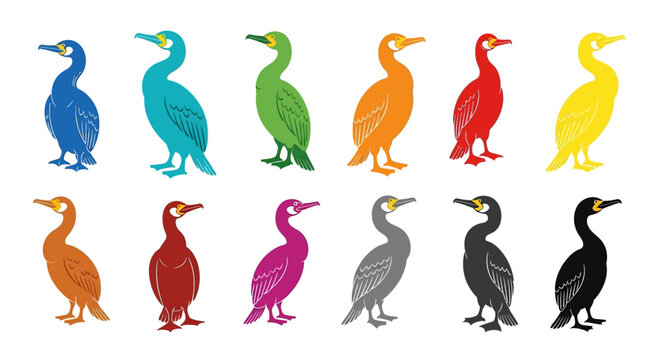 Colorful Flock of Cormorants: Diverse Bird Collection, Graphic Illustration