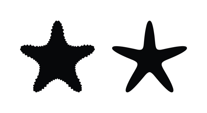 Two starfish shapes presented as black silhouettes against a white background silhouette sea star asteroidea marine