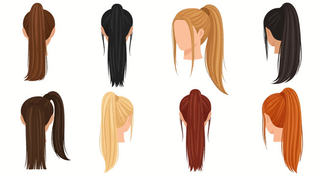 Diverse Ponytail Hairstyles Collection: Women's Hair, Various Colors and Styles