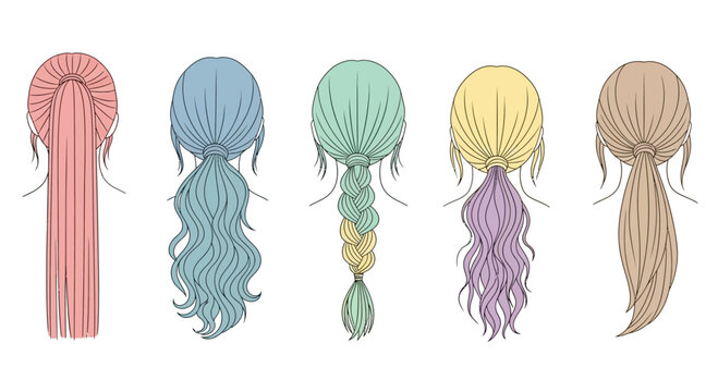 Diverse Hairstyles: Back View of Women's Hair - Braids, Ponytails, Straight, Wavy