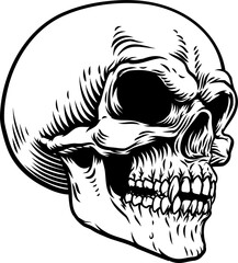 Fototapeta premium A human skull angry grim reaper skeleton head in a vintage woodcut style.
