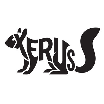 X-Xerus Typography Animal Logo
