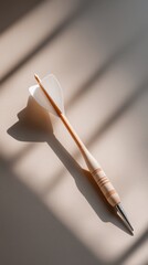 Fototapeta premium Long wooden dart with white feather flights and metal tip on light background Business Ethic transparent business ethic concept minimalist corporate ethics business illustration