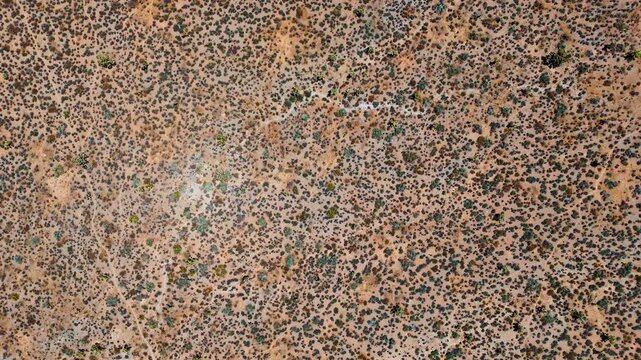 Descend over the dry spotted hot desert covered by lichens and shrubs. Arid landscape with poor scarce vegetation.