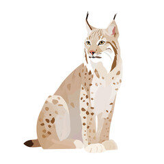 Flat 2D minimalist illustration of a Lynx, modern vector design with white background. © MiniVex
