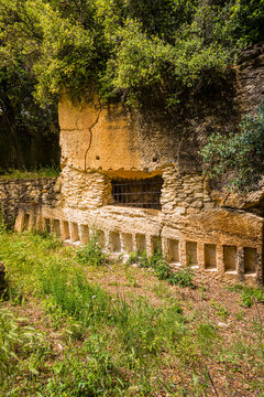 Le Rucher de La Baume &agrave; Montfrin dans le Gard en France