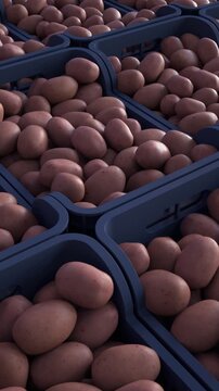 Stock of red potatoes. Several boxes stacked in a warehouse. Vertical view.