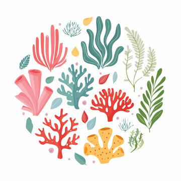 Colorful Underwater Coral Reef Illustration
