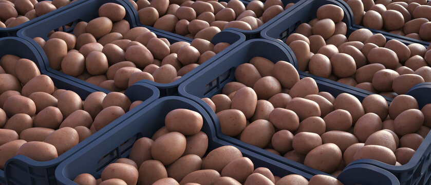 Several boxes full of red potatoes in a warehouse. Realistic CGI.