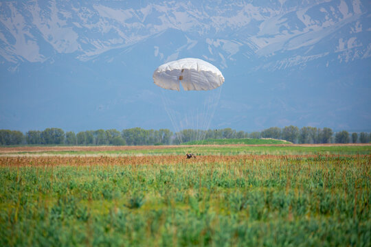 Skydiving. The landed parachutists collect the parachute canopy on the ground. Extreme sport and entertainment.