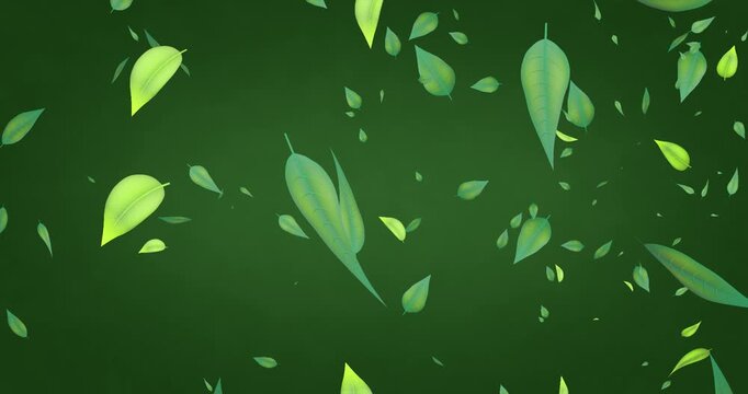 Green leaves falling down on dark green background, seamless loop.