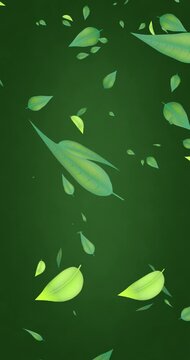Green leaves falling down on dark green background, seamless loop.Vertical video.