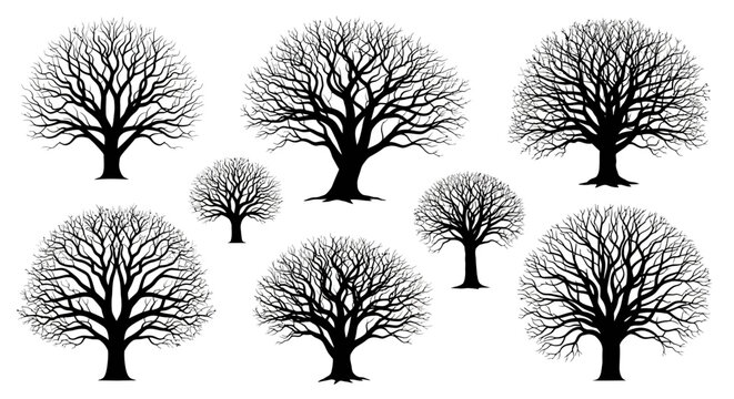 a collection of bare trees silhouettes and leafless winter trees perfect for graphic design and seasonal nature illustrations.