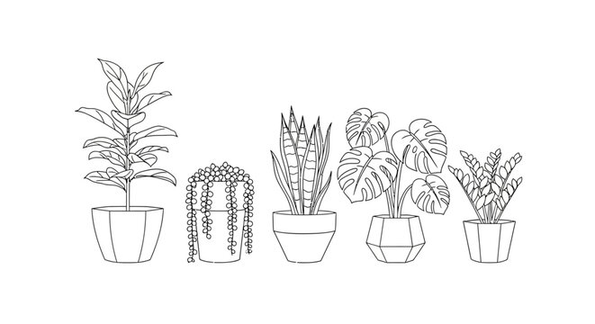 line art collection of various potted houseplants indoor green plants in planters