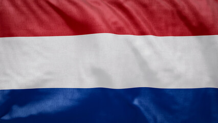 Obraz premium Dutch flag waves softly in the breeze. 2026 soccer tournament participating team flags. Perfect for football and sports event graphic assets. Netherlands Flag