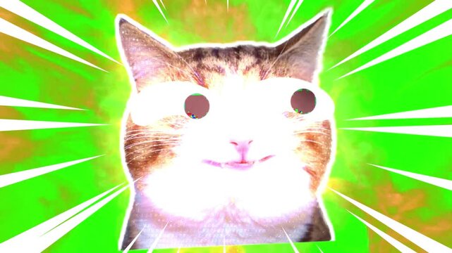 Cat face appears in the center of the frame with radiating white light beams and a bright green background that creates a dynamic and humorous visual effect for various digital content projects.