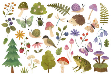 Naklejka premium Watercolor summer forest collection. Hand drawn woodland set. Berries, leaves, flowers, butterflies. Cute animals