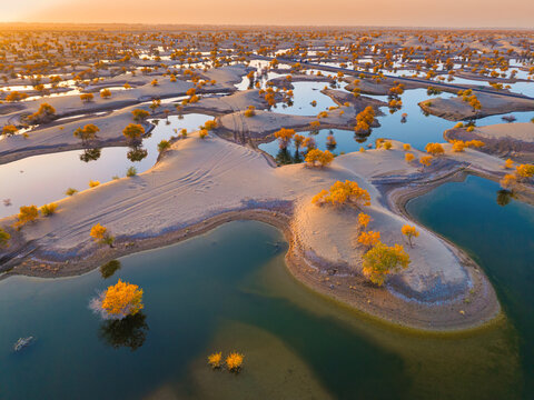 View of yellow Emerald Lake. The scene showcases the harmony between water, white sand dune and yellow Euphrates Poplar trees adding a vibrant touch of yellow,South Xinjiang, China.