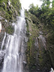 Fototapeta premium Waterfall cascading down a lush green rocky cliff face in a tropical rainforest setting captured in a detailed natural photograph