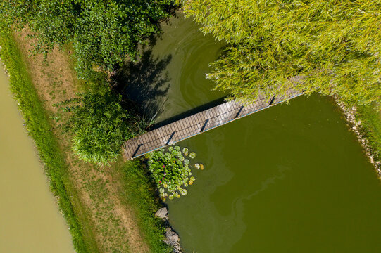 Herzogenaurach, Germany - 09 May 2026: Aerial view of a wooden bridge over green water with lily pads and lush green trees.