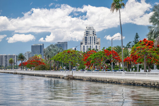 Tampa, Florida Bayshore Boulevard
